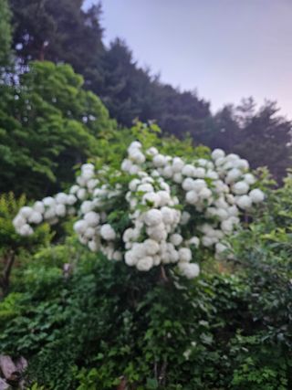 김시헌 님의 자유주제 · 자유게시판 작성글 사진