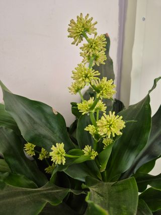 오형섭 님의 자유주제 · 자유게시판 작성글 사진