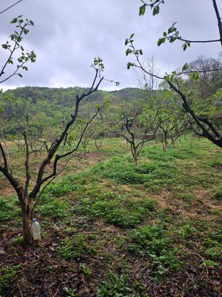 지식농부님의 자유주제 · 자유게시판 작성글 사진