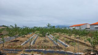 김호영님의 자유주제 · 자유게시판 작성글 사진