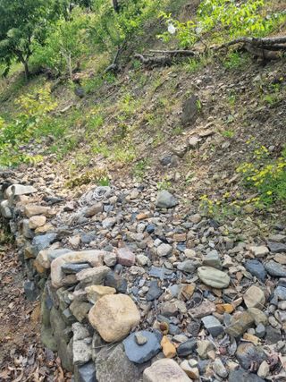 김용대님의 자유주제 · 자유게시판 작성글 사진