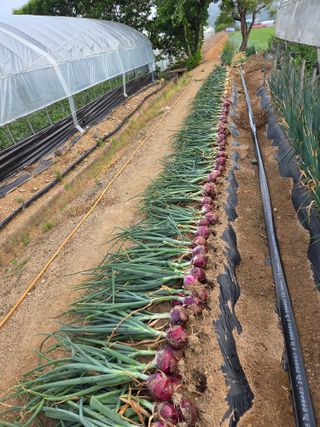 기본에 충실님의 자유주제 · 자유게시판 작성글 사진