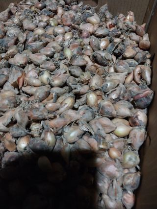 조봉래님의 작성글 사진