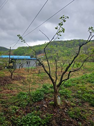 지식농부님의 자유주제 · 자유게시판 작성글 사진