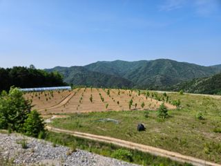 김시헌 님의 자유주제 · 자유게시판 작성글 사진