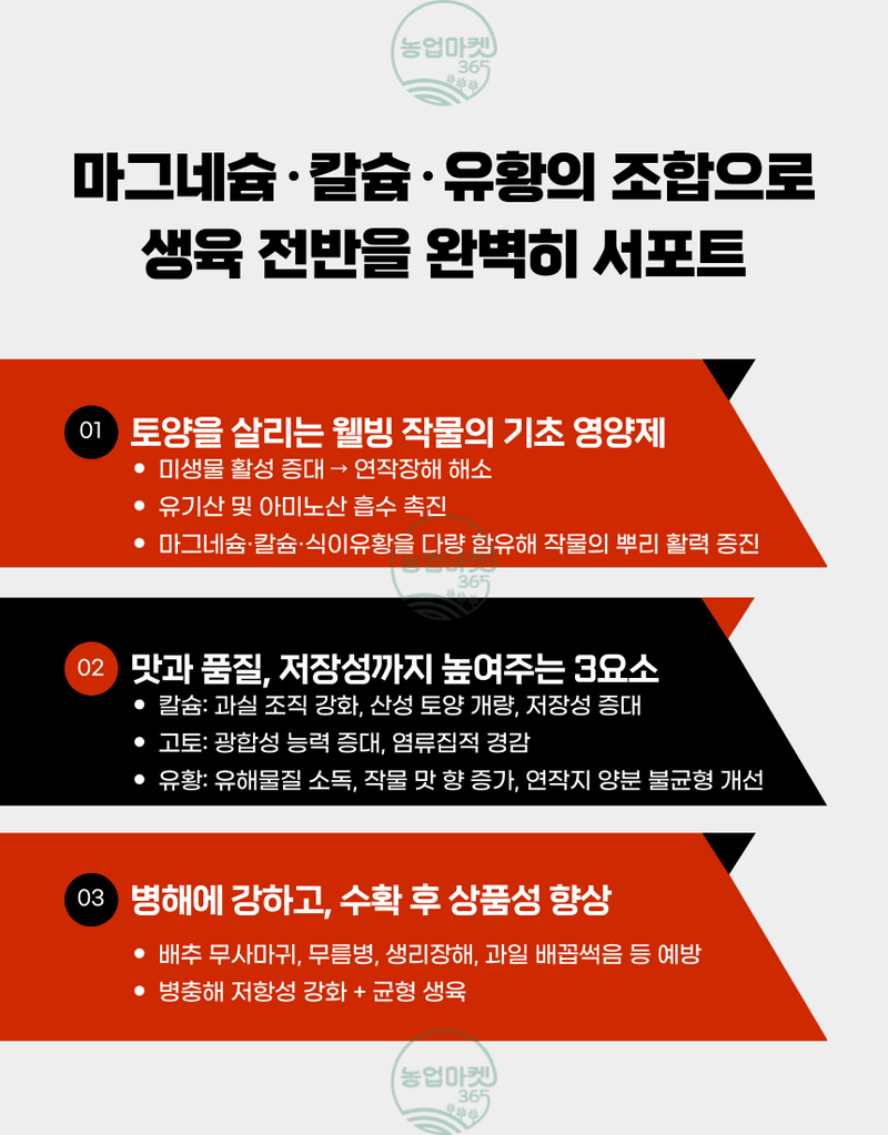 농업마켓365님의 장터 판매 상품 [농업마켓365 융전 황엠지칼 2kg 황 마그네슘 칼슘 밑거름 웃거름 텃밭 비료 유황합제 토양개량 마늘 양파 고구마] 첨부 사진