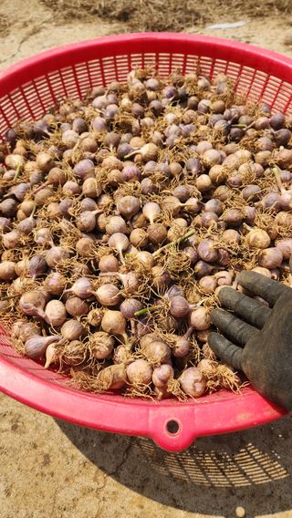 조한솔님의 작성글 사진