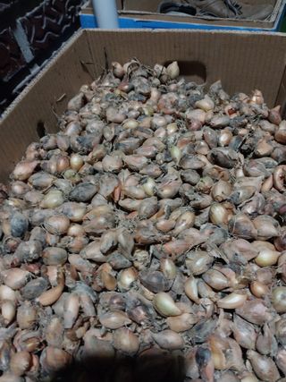 조봉래님의 작성글 사진