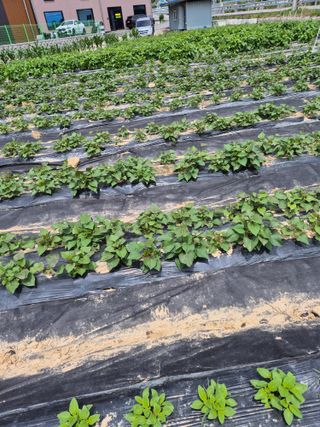 참깨10143님의 자유주제 · 자유게시판 작성글 사진