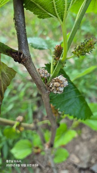김진님의 자유주제 · 자유게시판 작성글 사진