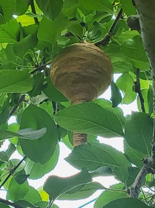 최용환 님의 자유주제 · 자유게시판 작성글 사진