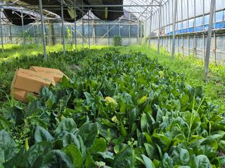 준영농장 출석왕.님의 자유주제 · 사진전 작성글 사진