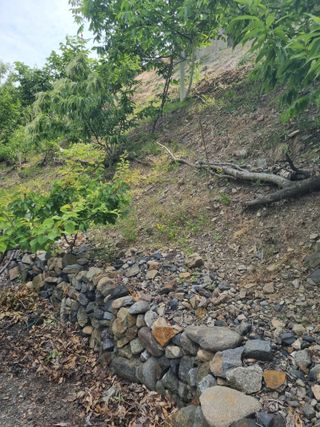 김용대님의 자유주제 · 자유게시판 작성글 사진