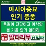 아시아종묘님의 자유주제·자유게시판 작성글 사진