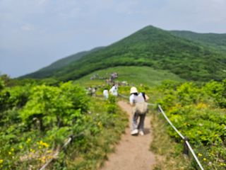 김시헌 님의 자유주제 · 사진전 작성글 사진