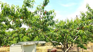 김호영님의 자유주제 · 자유게시판 작성글 사진