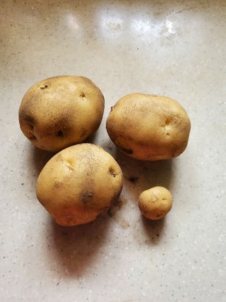 김윤철님의 자유주제 · 자유게시판 작성글 사진