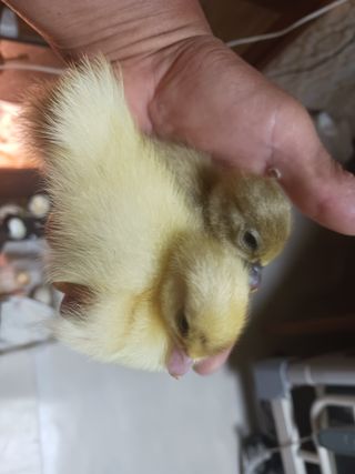 자유인 10496님의 자유주제 · 사진전 작성글 사진