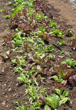 오현백님의 자유주제 · 자유게시판 작성글 사진