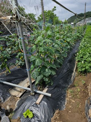 김명중님의 자유주제 · 자유게시판 작성글 사진