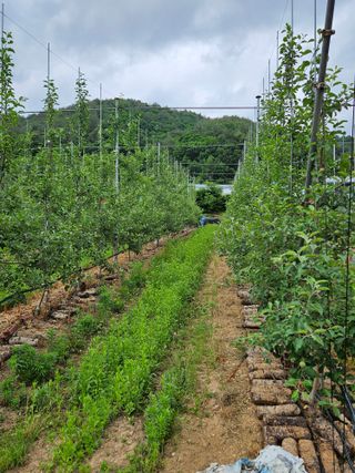 손기홍님의 자유주제 · 자유게시판 작성글 사진