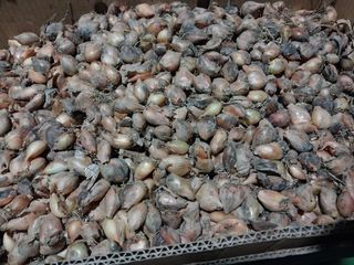 조봉래님의 작성글 사진