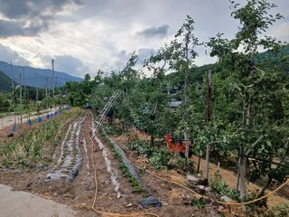 알 수 없음님의 자유주제 · 자유게시판 작성글 사진