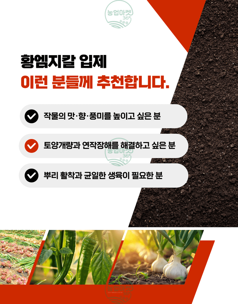 농업마켓365님의 장터 판매 상품 [농업마켓365 융전 황엠지칼 2kg 황 마그네슘 칼슘 밑거름 웃거름 텃밭 비료 유황합제 토양개량 마늘 양파 고구마] 첨부 사진