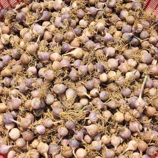 조한솔님의 작성글 사진