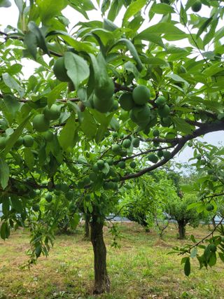 정정숙님의 자유주제 · 자유게시판 작성글 사진