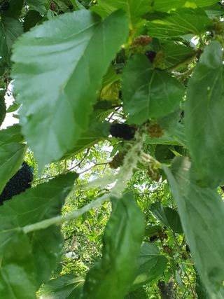 김용국님의 자유주제 · 자유게시판 작성글 사진