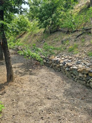 김용대님의 자유주제 · 자유게시판 작성글 사진