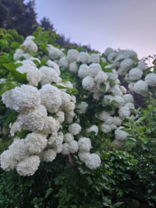 김시헌 님의 자유주제 · 사진전 작성글 사진