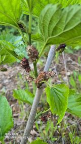 팜모닝 자유주제·자유게시판 게시글 이미지