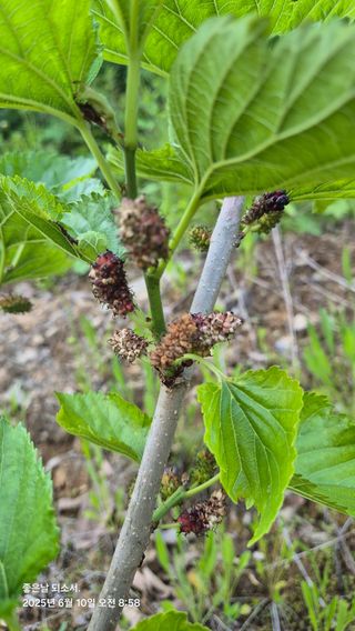 김진님의 자유주제 · 자유게시판 작성글 사진