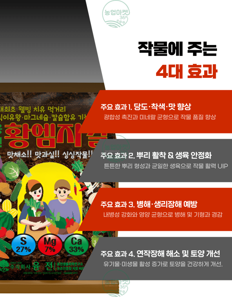 농업마켓365님의 장터 판매 상품 [농업마켓365 융전 황엠지칼 2kg 황 마그네슘 칼슘 밑거름 웃거름 텃밭 비료 유황합제 토양개량 마늘 양파 고구마] 첨부 사진