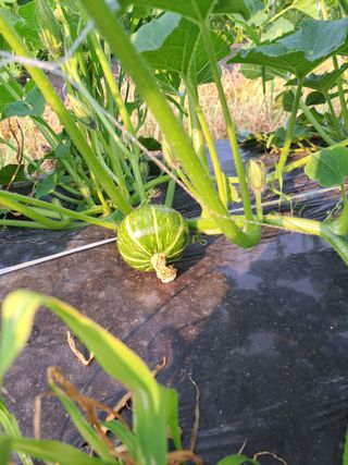 김형권님의 자유주제 · 자유게시판 작성글 사진