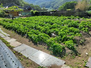 김윤철님의 자유주제 · 자유게시판 작성글 사진