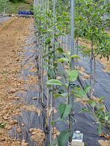 팜모닝 자유주제·자유게시판 게시글 이미지