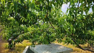 김호영님의 자유주제 · 자유게시판 작성글 사진