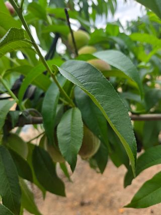 자연인님의 자유주제 · 자유게시판 작성글 사진