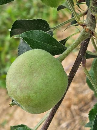 손기홍님의 자유주제 · 자유게시판 작성글 사진