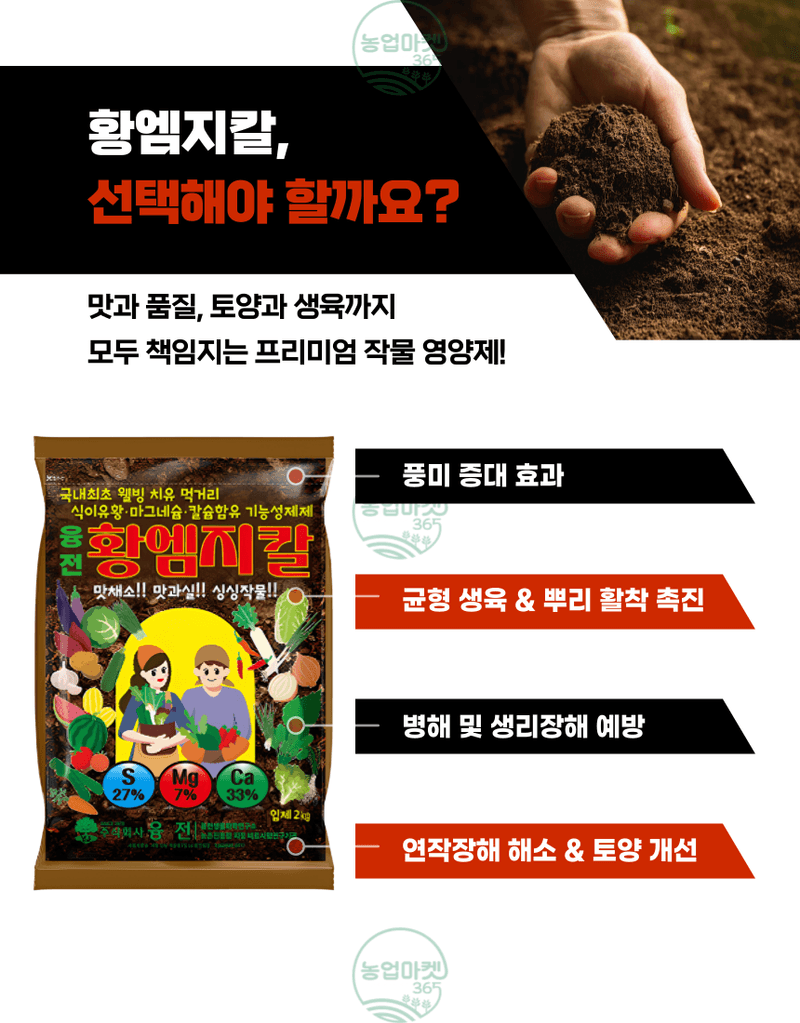 농업마켓365님의 장터 판매 상품 [농업마켓365 융전 황엠지칼 2kg 황 마그네슘 칼슘 밑거름 웃거름 텃밭 비료 유황합제 토양개량 마늘 양파 고구마] 첨부 사진