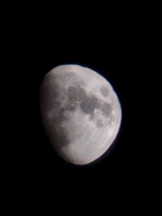 김시헌 님의 자유주제 · 자유게시판 작성글 사진