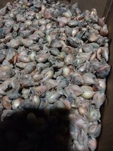 팜모닝 · 게시글 이미지