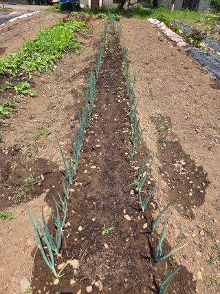 오현백님의 자유주제 · 자유게시판 작성글 사진