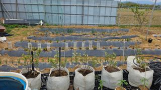 김호영님의 자유주제 · 자유게시판 작성글 사진