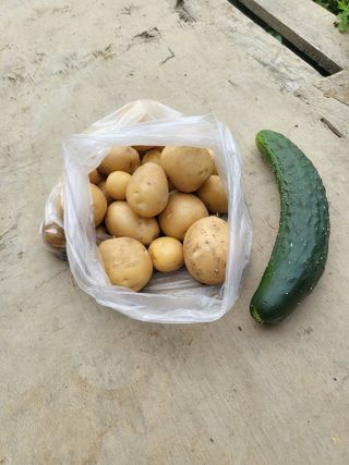 정정숙님의 자유주제 · 사진전 작성글 사진