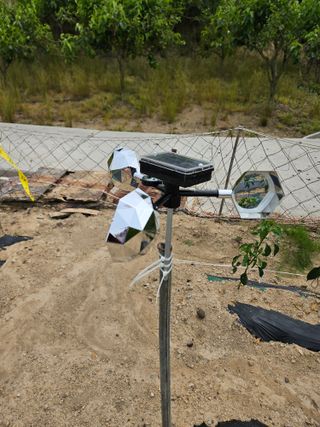 백호순(후추)님의 자유주제 · 자유게시판 작성글 사진