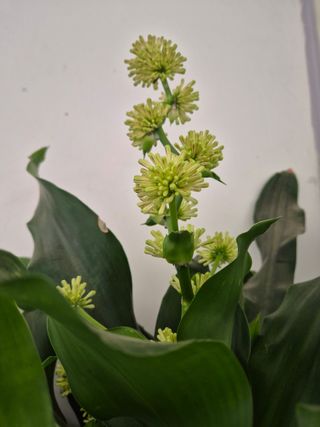 오형섭 님의 자유주제 · 자유게시판 작성글 사진